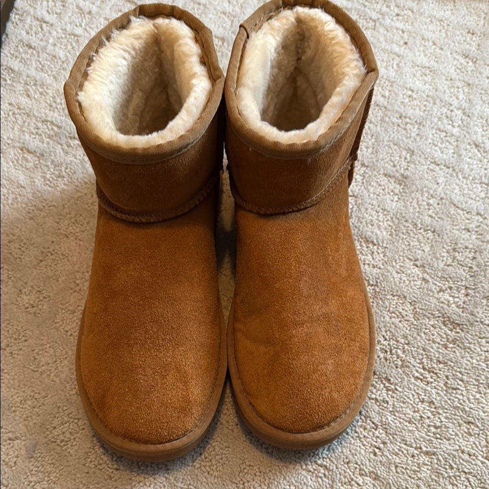 Cozy Tan Suede Boots with Faux Fur Lining